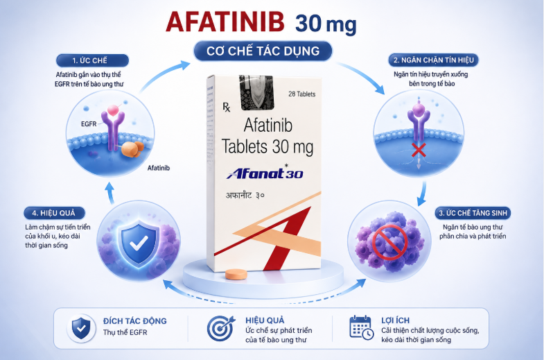 Afanat 30 điều trị ung thư phổi không tế bào nhỏ