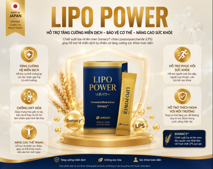 Hình minh hoạ công dụng của Lipo Power thực phẩm bảo vệ sức khoẻ