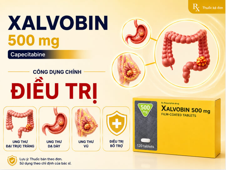 công dụng Xalvobin 500mg