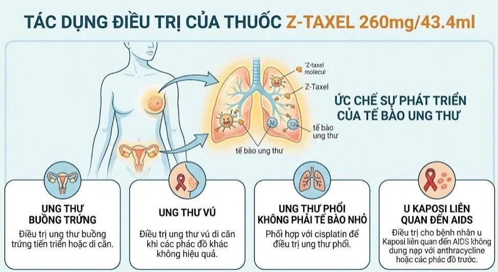 z-taxel 260mg/43.4ml điều trị ung thư