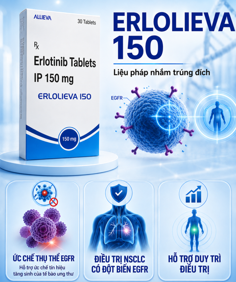 Hình minh họa công dụng của thuốc Erlolieva 150