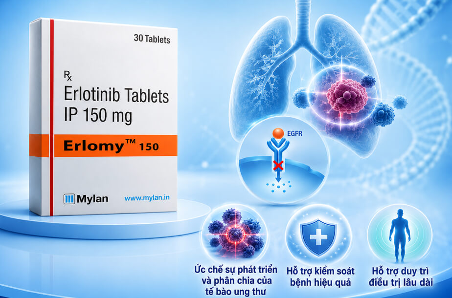 Hình minh họa công dụng của thuốc Erlomy 150mg Mylan