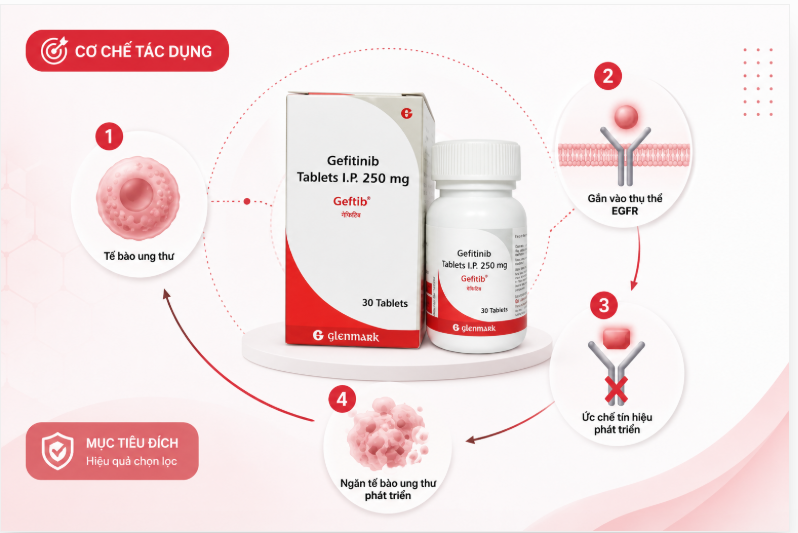 Thuốc Geftib 250 điều trị ung thư phổi