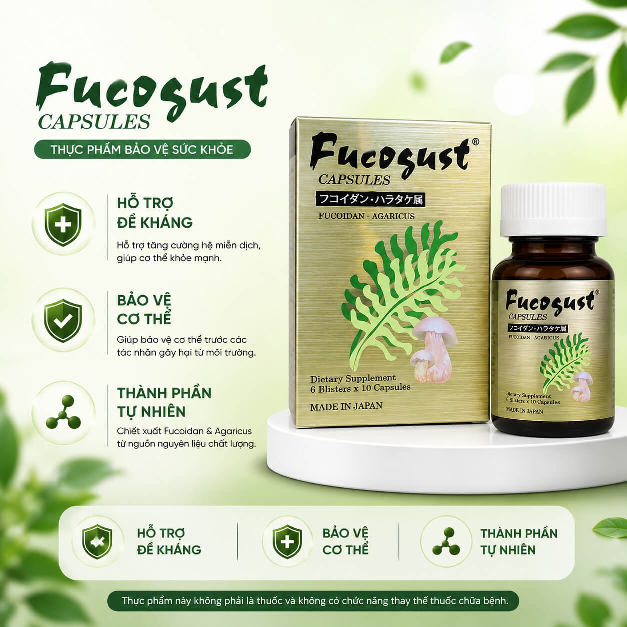 Thực phẩm chức năng Fucogust Capsules