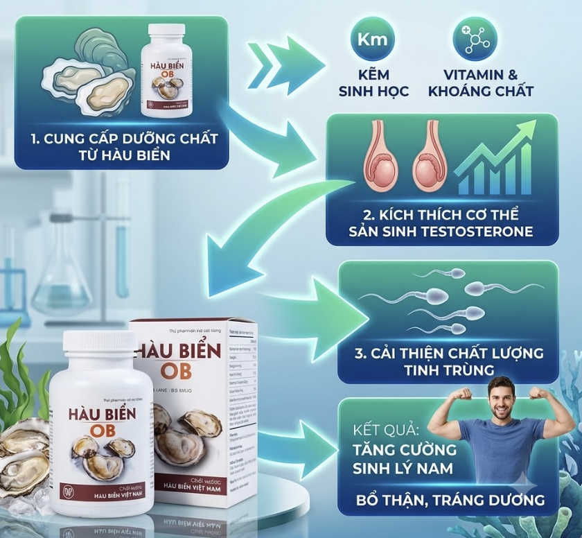 Công gj Hàu Biển OB