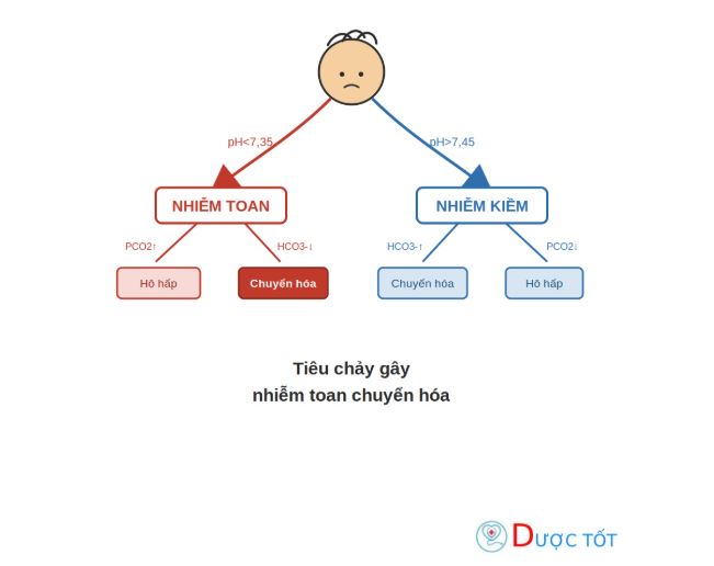 Nhiễm toan chuyển hóa do tiêu chảy: Nguyên nhân, xử trí