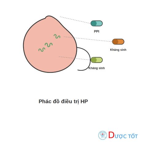 Phác đồ điều trị HP: Các thuốc và cách phối hợp