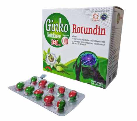 Bổ Não ginko rotundin mekong (h/100v) Xanh Lá
