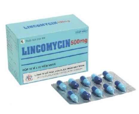 Lincomycin 500mg Mekophar (H/100v)