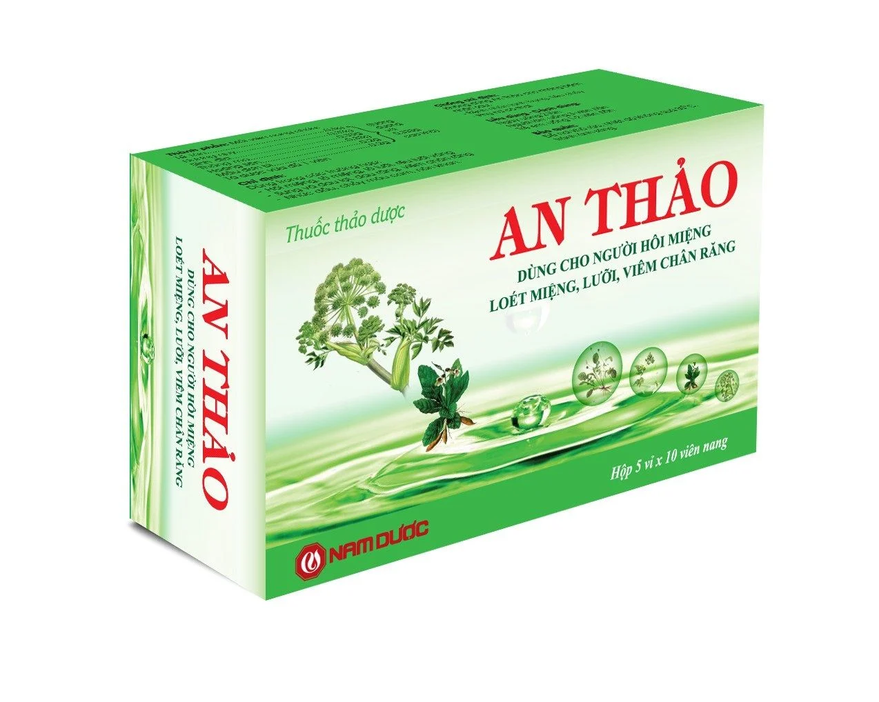 An Thảo Nam Dược (H/50v)