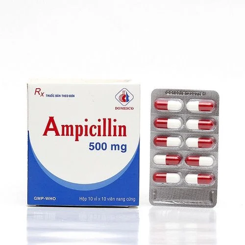 Thuốc Ampicillin 500mg Domesco điều trị nhiễm khuẩn (10 vỉ x 10 viên)