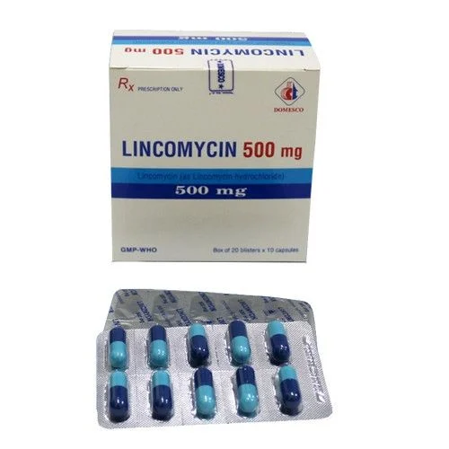 Thuốc Lincomycin 500mg Domesco điều trị các chứng nhiễm khuẩn (Hộp 20 vỉ x 10 viên)