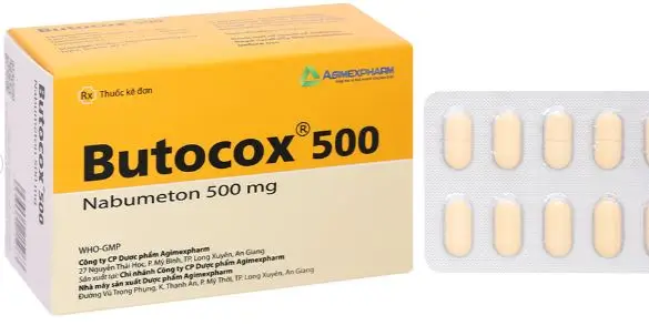 Butocox 500mg giảm đau, kháng viêm trong điều trị thoái hóa khớp (6 vỉ x 10 viên)