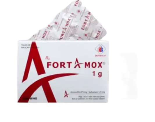 Thuốc FORTAMOX 1G kháng sinh điều trị bệnh nhiễm khuẩn