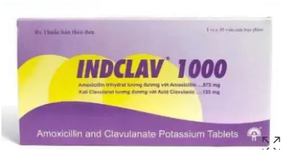 Thuốc Indclav 1000 (Hộp 1 vỉ x 10 viên) - Điều trị nhiễm khuẩn (Indchemie)