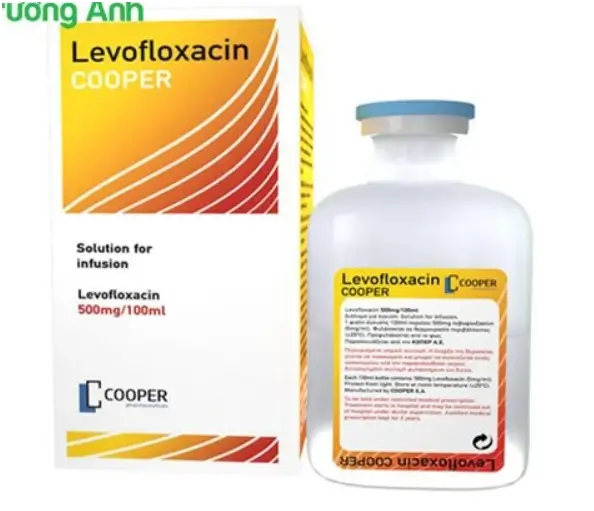 Levofloxacin/cooper 500mg/100ml - Thuốc điều trị viêm phế quản