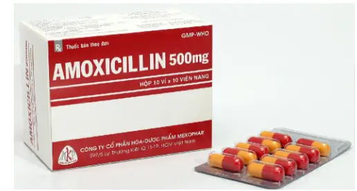 Amoxicillin 500mg hộp 10 vỉ x 10 viên nang Mekophar