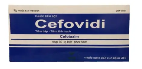 Cefovidi Cefotaxime 1g hộp 10 lọ bột pha tiêm Vidipha