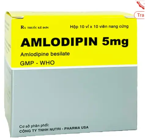 Thuốc Amlodipin 5mg Vidipha điều trị tăng huyết áp, đau thắt ngực (10 vỉ x 10 viên)