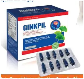 GINKPIL GINKGO BILOBA VỚI CO THƠM - COENZYME Q10