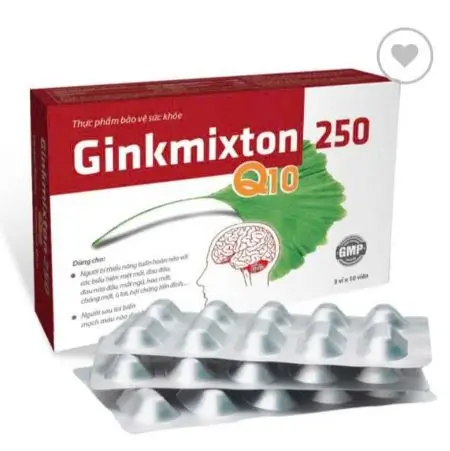 Ginkmixton 250 Q10 hỗ trợ tăng cường tuần hoàn máu não