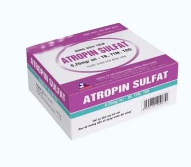 Thuốc tiêm Atropin Sulfat 0,25mg/ml chống co thắt trong bệnh lý tiêu hóa, tiết niệu (100 ống x 1ml)