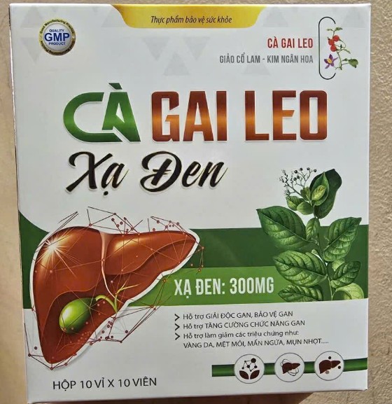 Viên Cà Gai Leo Xạ Đen tăng cường chức năng gan