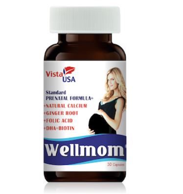 Wellmom – Bổ sung DHA, vitamin nhóm B,C,D và khoáng chất