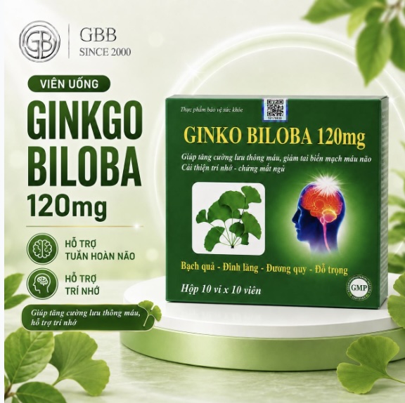 Ginko Biloba 120mg giúp tăng cường lưu thông máu