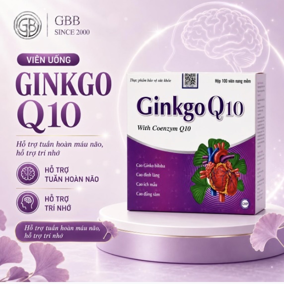 Hỗ trợ bổ não Ginkgo Q10 With Coenzym Q10