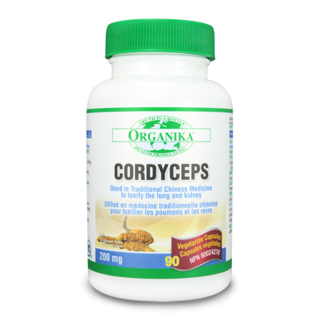 Cordyceps