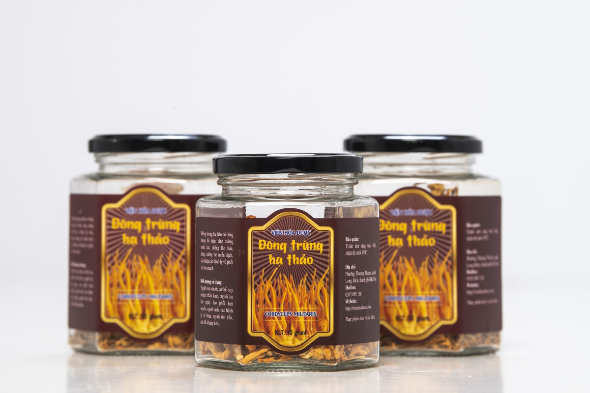 Đông Trùng Hạ Thảo Viện Hóa Dược sấy lạnh