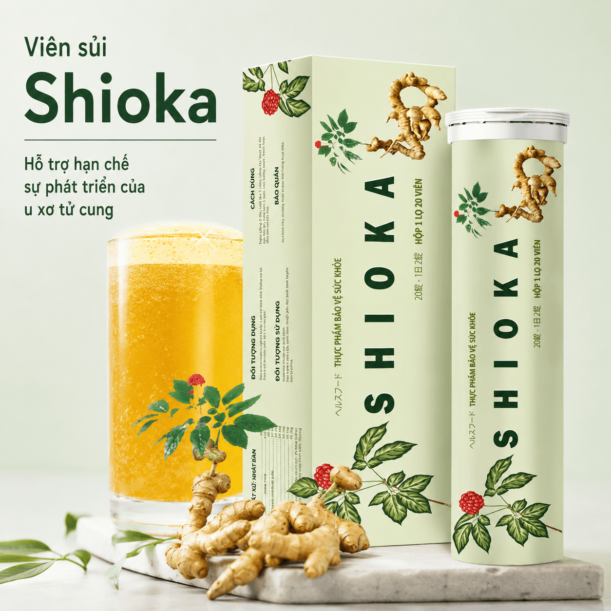 Thực phẩm bảo vệ sức khỏe Viên sủi Shioka