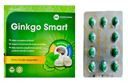 Hoạt Huyết Dưỡng Não GINKGO BILOBA
