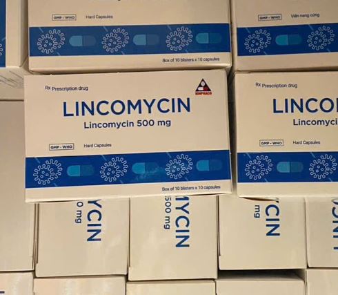 Thuốc Lincomycin 500mg điều trị nhiễm khuẩn tai mũi họng, phế quản, phổi (10 vỉ x 10 viên