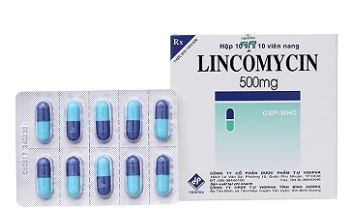 Thuốc Lincomycin 500mg Vidipha điều trị nhiễm khuẩn tai mũi họng, phế quản, phổi (10 vỉ x 10 viên)