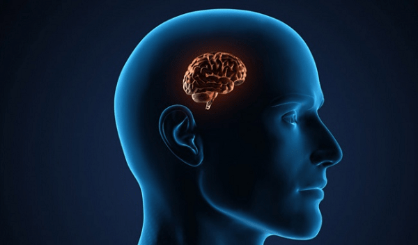 Alzheimer – Khi trí nhớ dần mất đi